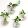 Terrarium mural en verre pour plantes, conteneur, Station de Propagation, Vases à fleurs muraux, Terrarium pour plantes à Air, – Image 3