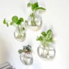Terrarium mural en verre pour plantes, conteneur, Station de Propagation, Vases à fleurs muraux, Terrarium pour plantes à Air, – Image 1
