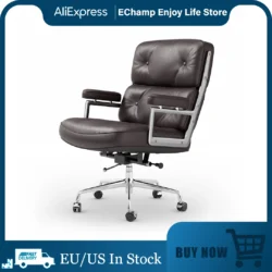 Chaise de Bureau Confortable et Réglable, Meuble d'Ordinateur, Sédentaire,