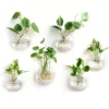 Terrarium mural en verre pour plantes, conteneur, Station de Propagation, Vases à fleurs muraux, Terrarium pour plantes à Air, – Image 2